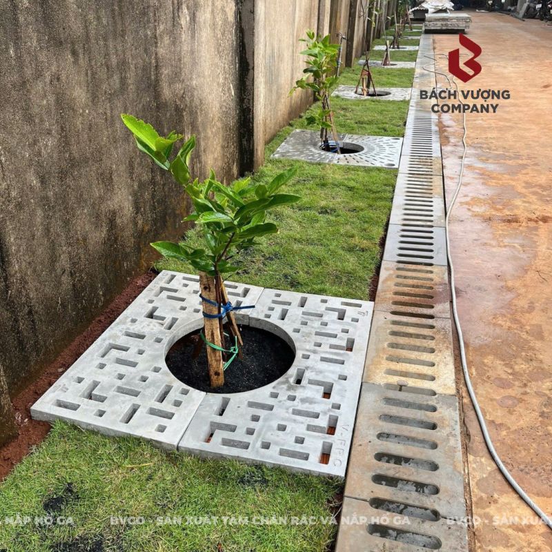 Bảo vệ gốc cây hiệu quả
