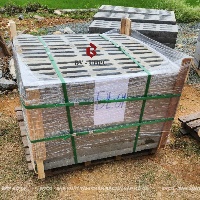 Đo đạc và xác định cao độ chuẩn