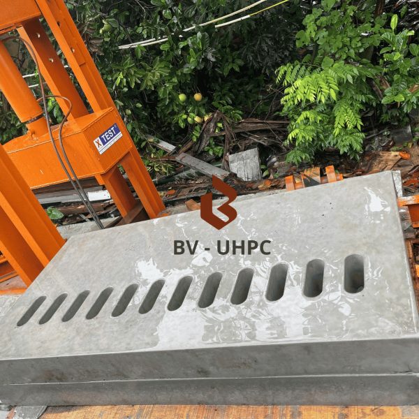 Song thoát nước thu thăm kết hợp - Ảnh 2