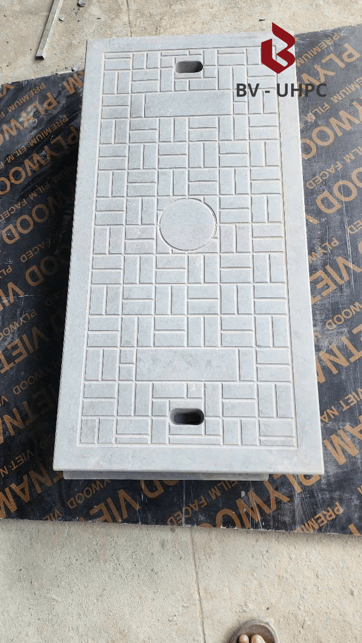 Nắp Hố Ga Không Khung - Ảnh 4